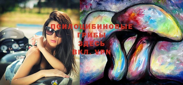 не бодяженный Алзамай