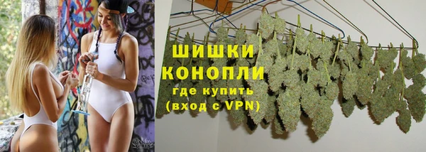 дживик Новозыбков