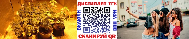 дарк нет телеграм  Ухта  Дистиллят ТГК вейп  купить закладку 